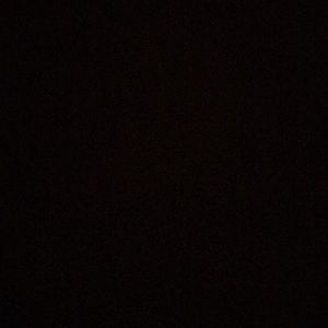 Meet your Posher, Steve